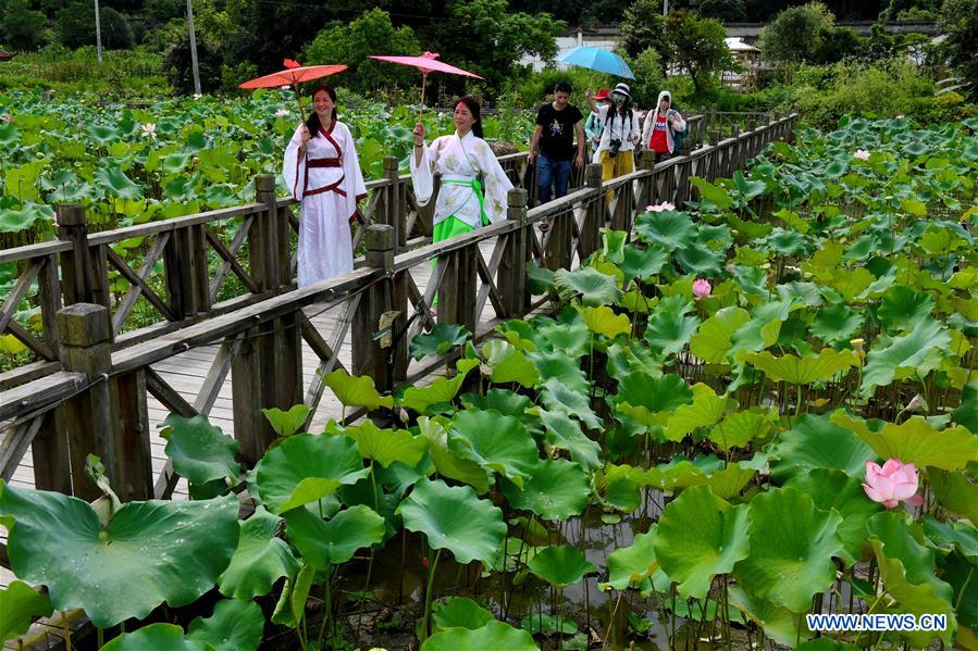 CHINA-FUJIAN-WUYISHAN-LOTUS FESTIVAL (CN)