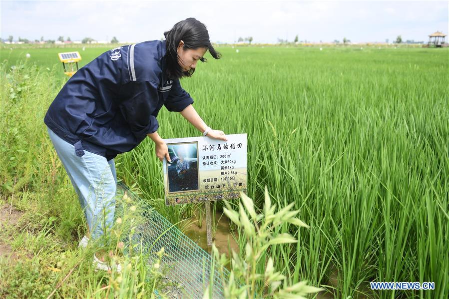 CHINA-JILIN-HUINAN-GREEN AND ORGANIC AGRICULTURE (CN)