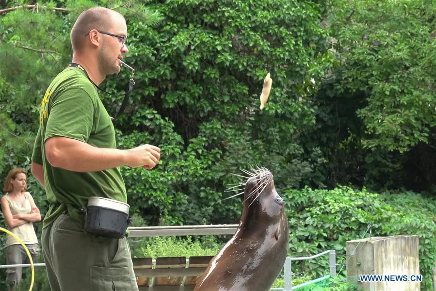 HUNGARY-BUDAPEST-ZOO ANIMAL FEEDING