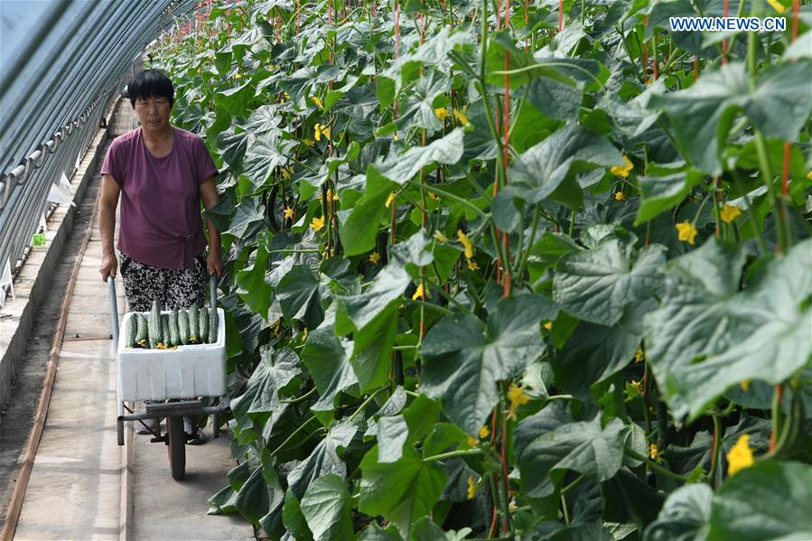 CHINA-GANSU-ECO AGRICULTURE(CN)