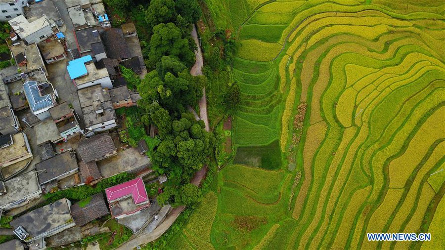 CHINA-GUIZHOU-RURAL SCENERY (CN)