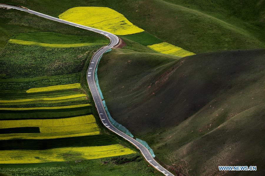 (EcoChina)CHINA-HORTICULTURAL EXPO-QINGHAI (CN)