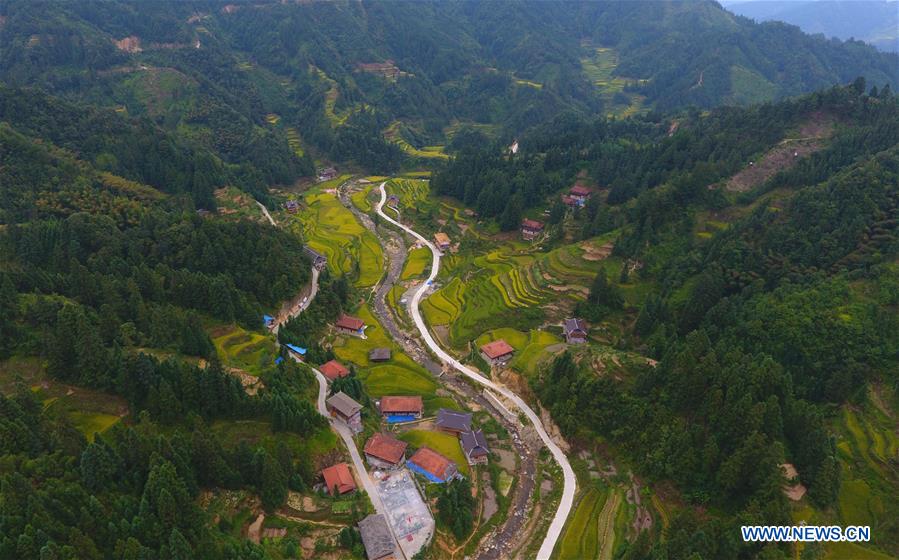 CHINA-GUANGXI-PADDY RICE-HARVEST (CN)