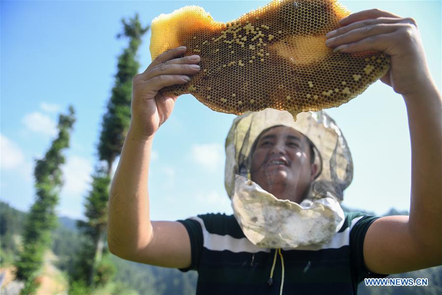 CHINA-HUNAN-XIANGXI-APICULTURE (CN)