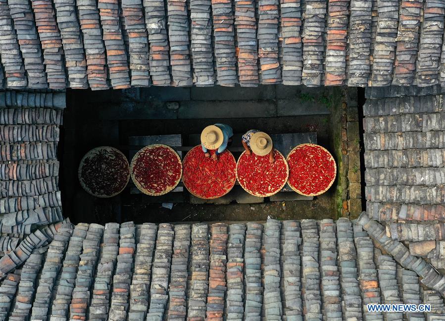 #CHINA-HARVEST FESTIVAL-CELEBRATION (CN)