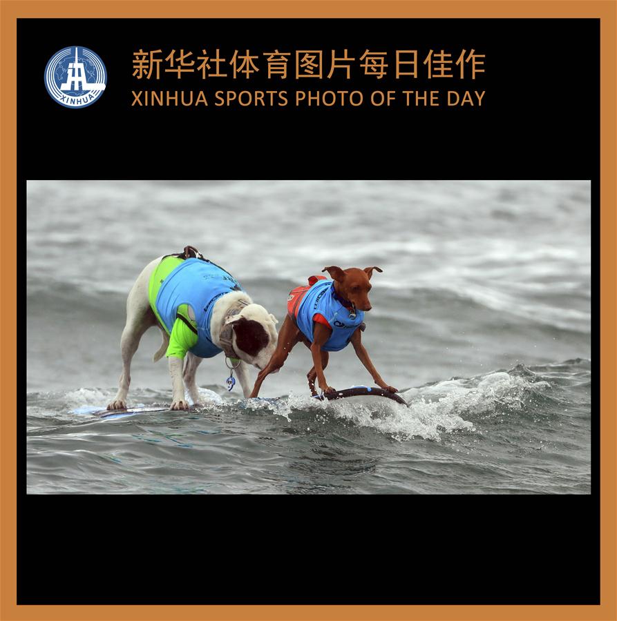 (SP)XINHUA SPORTS PHOTOS OF THE DAY