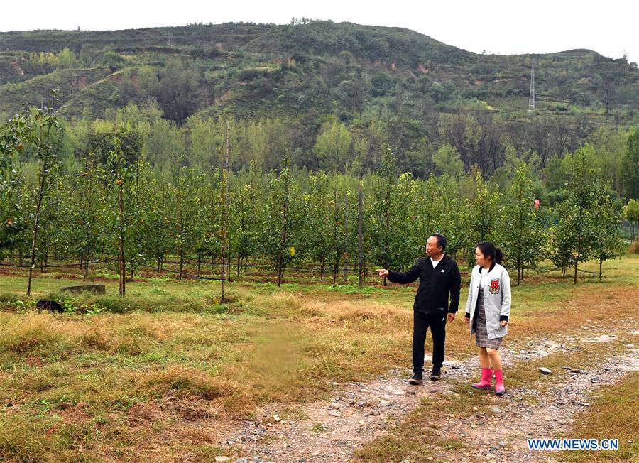 CHINA-HENAN-VETERAN-PEAR GROWING (CN)