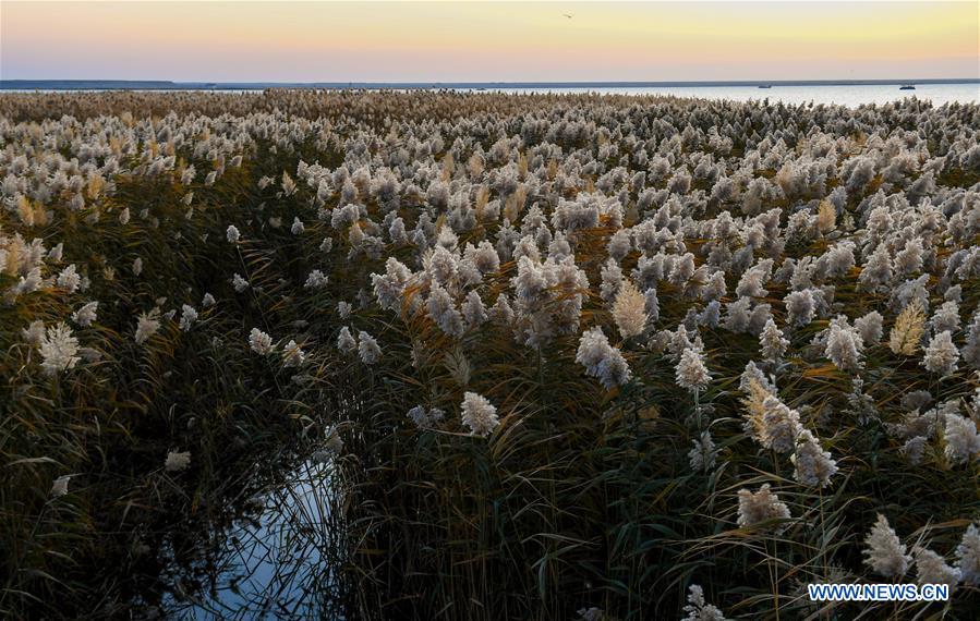 CHINA-INNER MONGOLIA-JUYANHAI LAKE-SCENERY (CN)