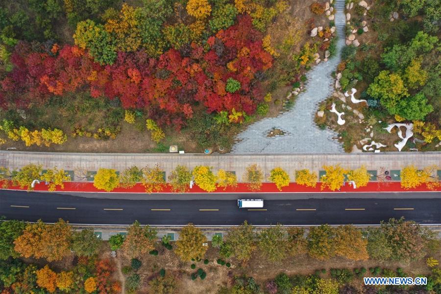 CHINA-HEBEI-TANGSHAN-NANHU PARK-AUTUMN SCENERY (CN)