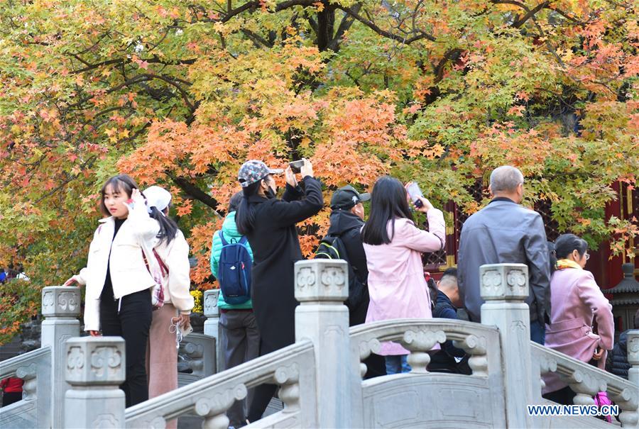 CHINA-BEIJING-XIANGSHAN PARK-AUTUMN SCENERY (CN)