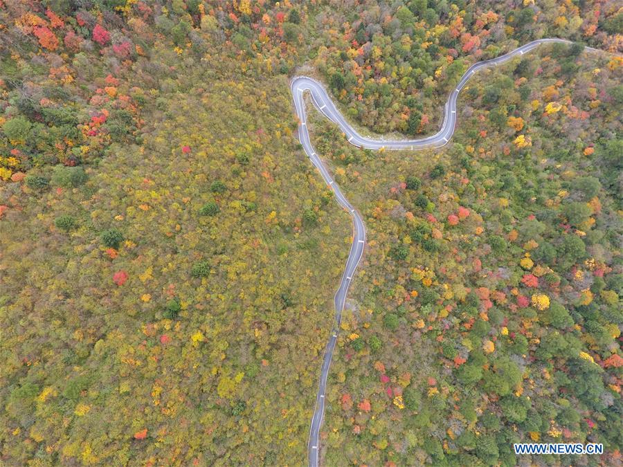 CHINA-SICHUAN-TIANQUAN-AUTUMN SCENERY (CN)