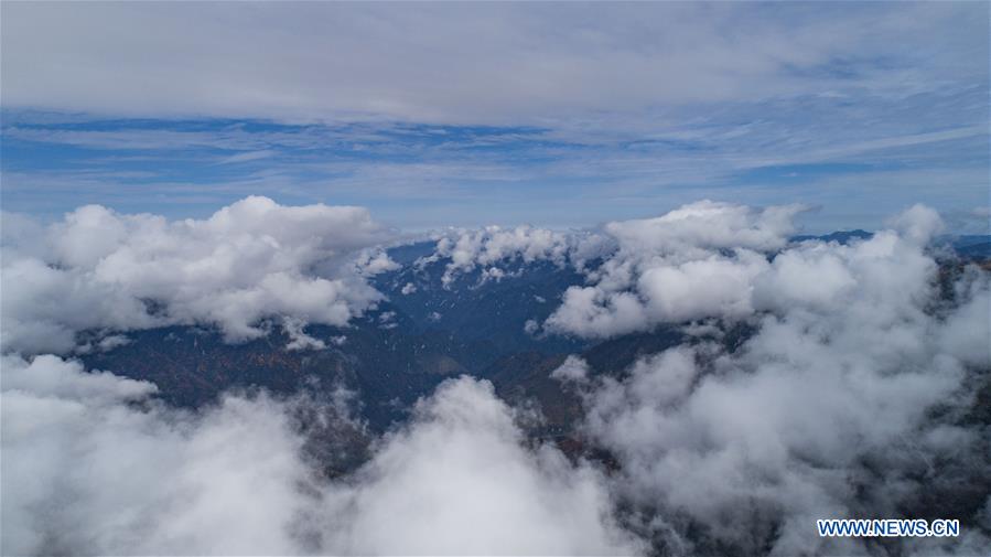 CHINA-HUBEI-SHENNONGJIA-SEA OF CLOUDS(CN)