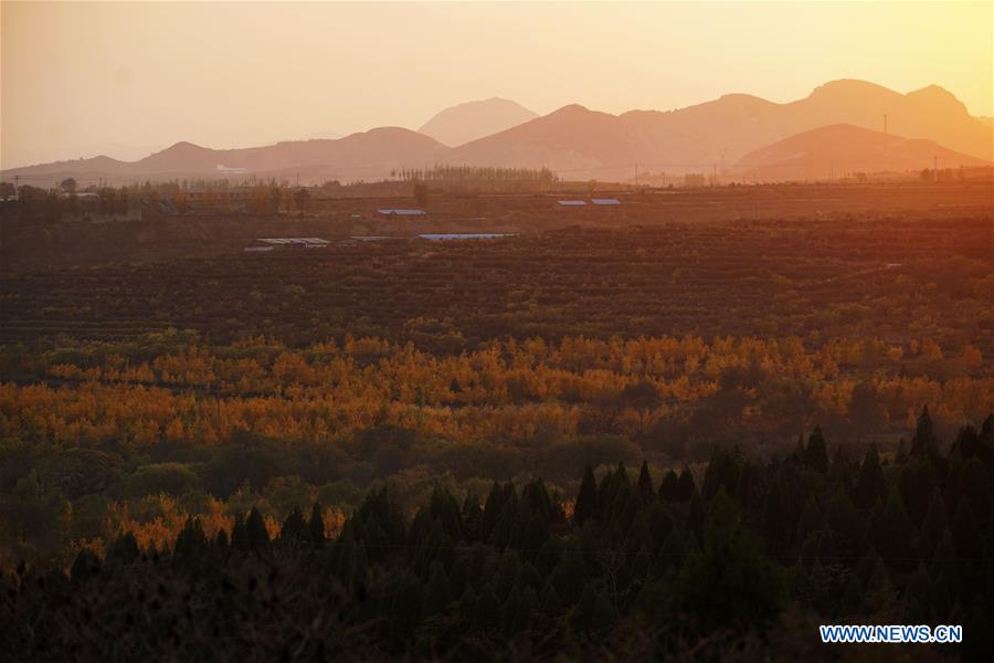 CHINA-HEBEI-TAIHANG MOUNTAINS-SCENERY (CN)