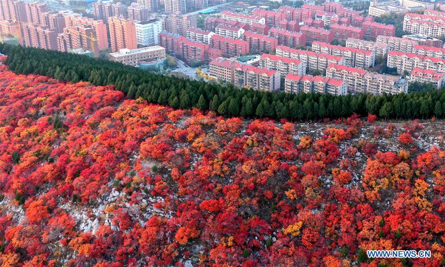 XINHUA PHOTOS OF THE DAY