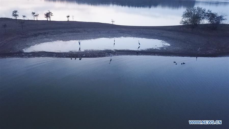 CHINA-ANHUI-HEFEI-EARLY WINTER-SCENERY (CN)