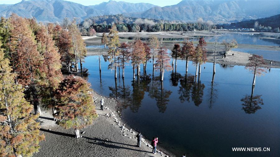 CHINA-ANHUI-HUANGSHAN-WINTER SCENERY (CN)