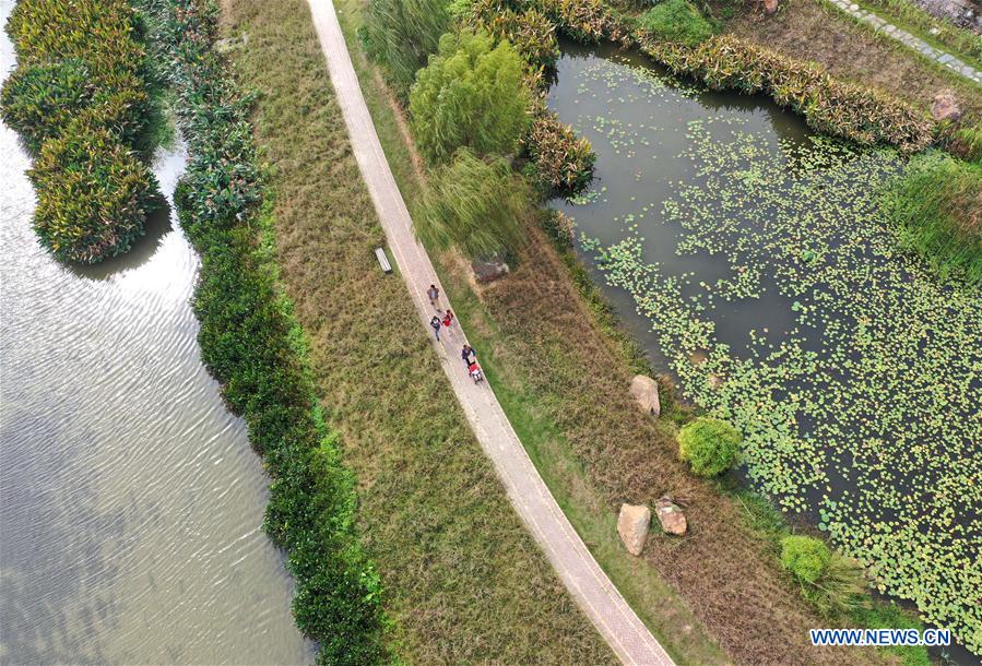 CHINA-GUANGXI-NANNING-WETLAND-SCENERY (CN)