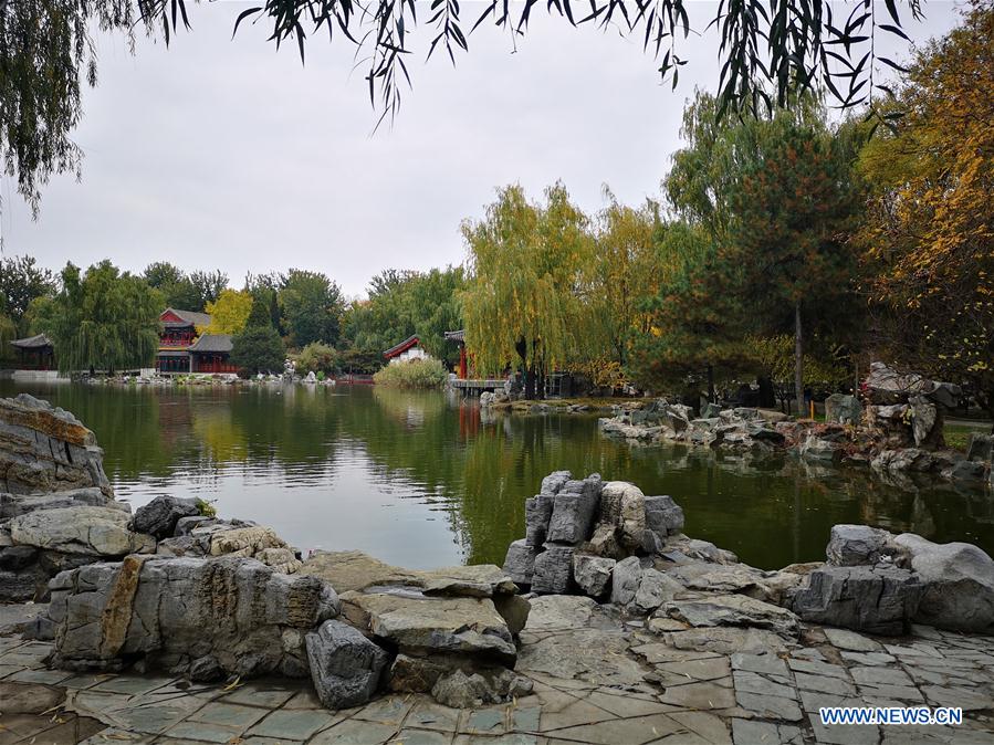 (BeijingCandid)CHINA-BEIJING-AUTUMN (CN)