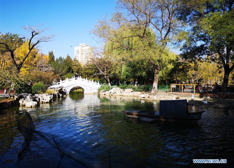 (BeijingCandid)CHINA-BEIJING-AUTUMN (CN)