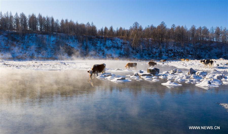 CHINA-INNER MONGOLIA-ARXAN-HALHA RIVER-WINTER SCENERY (CN)