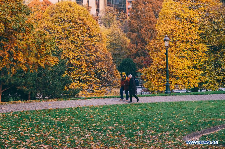 BELGIUM-BRUSSELS-AUTUMN SCENERY