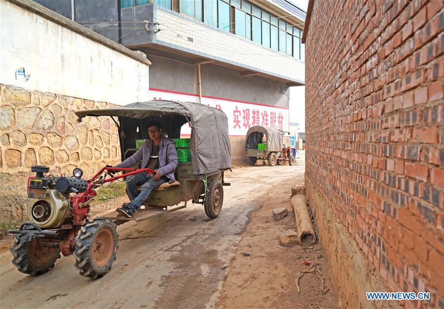 CHINA-YUNNAN-POVERTY ALLEVIATION-PEPINO MELON-INDUSTRY (CN)