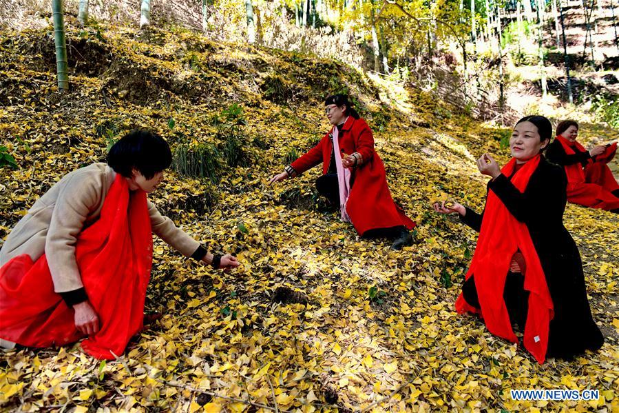 CHINA-FUJIAN-GINKGO TREE (CN)