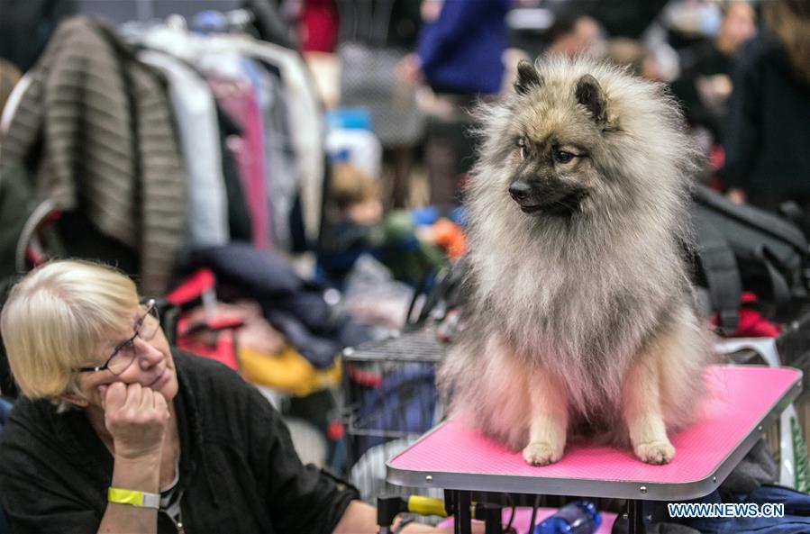 LITHUANIA-VILNIUS-DOG SHOW