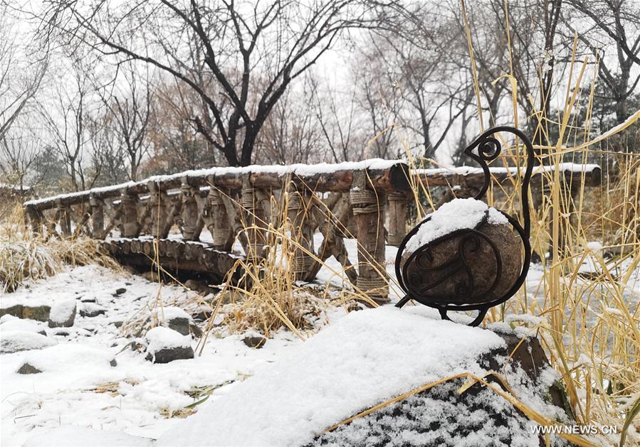 (BeijingCandid)CHINA-BEIJING-WINTER (CN)