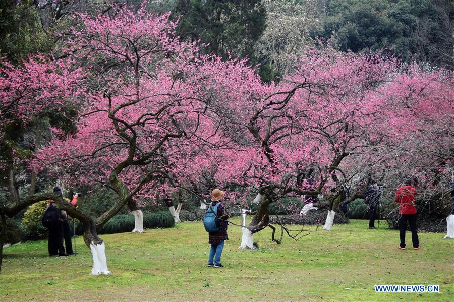 CHINA-ZHEJIANG-HANGZHOU-WEST LAKE-REOPEN (CN)