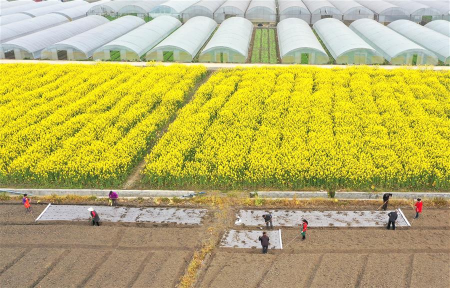 #CHINA-SPRING-FARMING (CN)