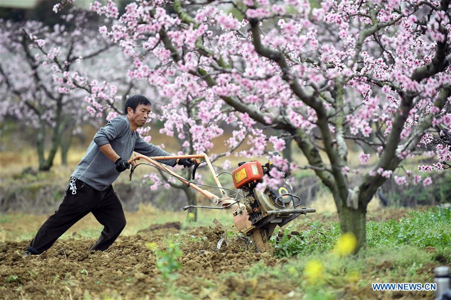 #CHINA-GUIZHOU-FARM WORK (CN)