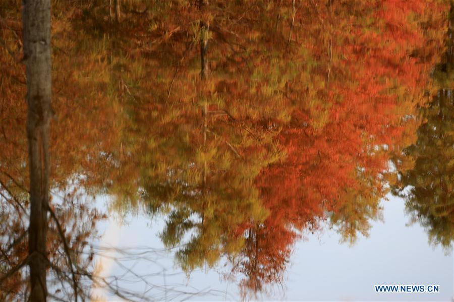 #CHINA-AUTUMN-SCENERY (CN)