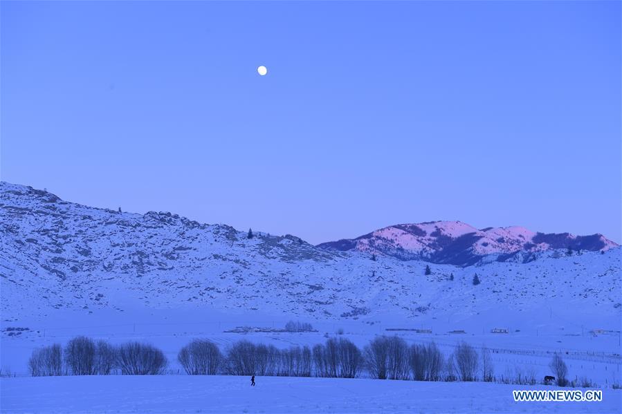 CHINA-XINJIANG-KOKTOKAY-WINTER SCENERY (CN)