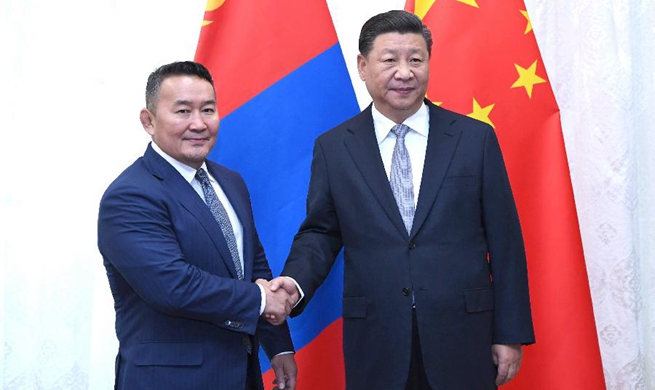 Xi meets Mongolian president on bilateral ties