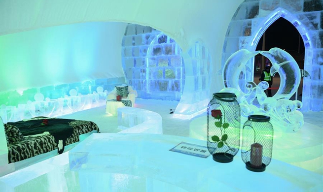 People visit ice bar in Harbin's Ice-Snow World