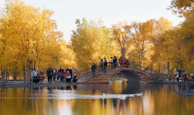 Autumn scenery in Jiuquan, northwest China's Gansu