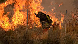 Wildfires in Argentina affect nearly 8,500 hectares of land