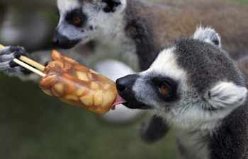 Animals cool off from hot weather in China