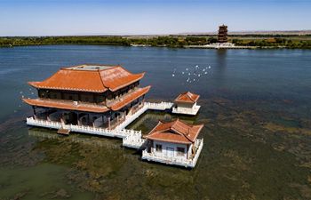 Scenery of Heihe River wetland in NW China's Gansu