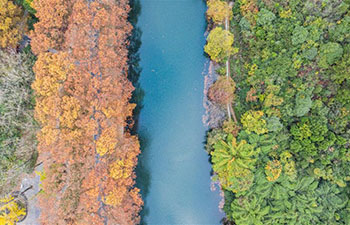 Autumn scenery of Huaxi National City Wetland Park in Guiyang