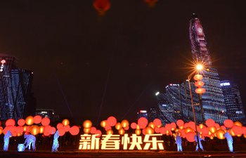 Lanterns illuminated to greet Spring Festival in Shenzhen