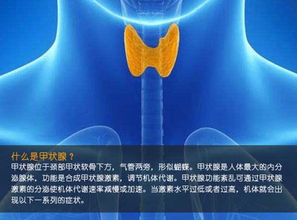 關(guān)注甲狀腺健康，你應(yīng)該知道的那些事