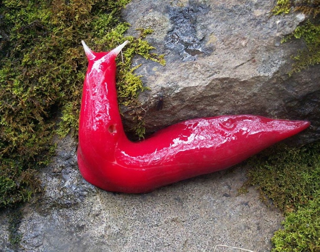 一周趣圖：英餐廳巨型比目魚可供三百人分食