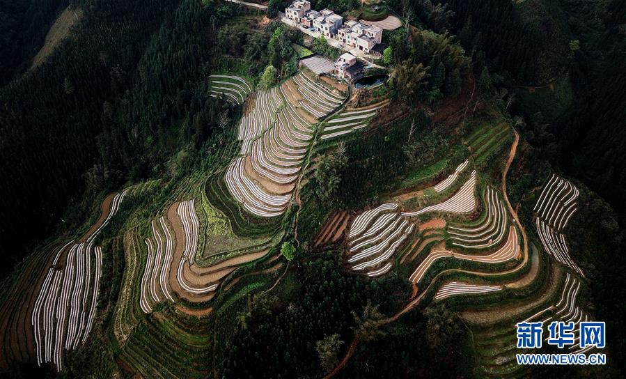 （春季美麗生態(tài)）（5）飛閱邊關(guān)山田春景