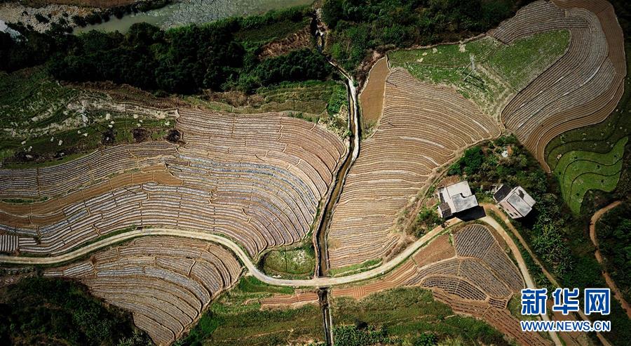 （春季美麗生態(tài)）（7）飛閱邊關山田春景