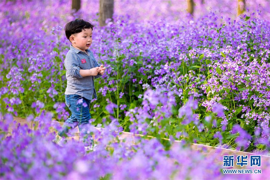 #（社會(huì)）（6）踏春賞景正當(dāng)時(shí)