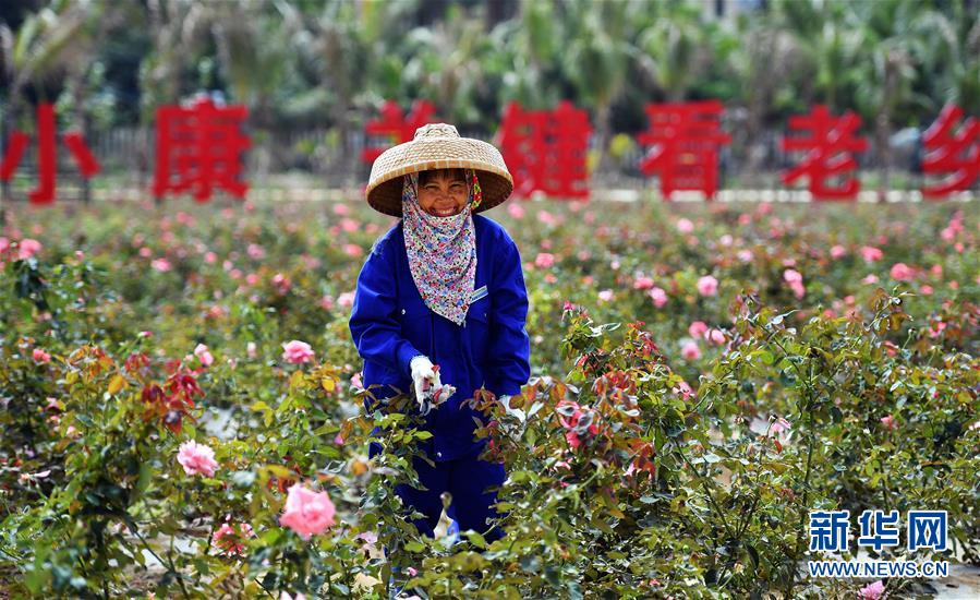 （新華全媒頭條·潮起海之南·圖文互動）（1）在偉大復(fù)興新征程上揚帆遠航——從海南建省辦特區(qū)看中國改革開放40年