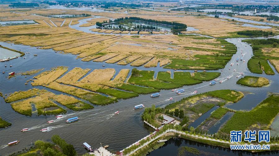 （壯闊東方潮 奮進(jìn)新時代——慶祝改革開放40年）（11）美麗中華大地書寫綠色傳奇