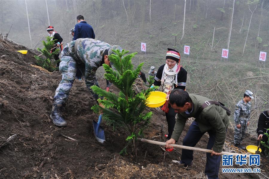 （圖文互動）（6）和平年代，離死神最近的人——南部戰(zhàn)區(qū)陸軍云南掃雷大隊邊境掃雷排爆記事